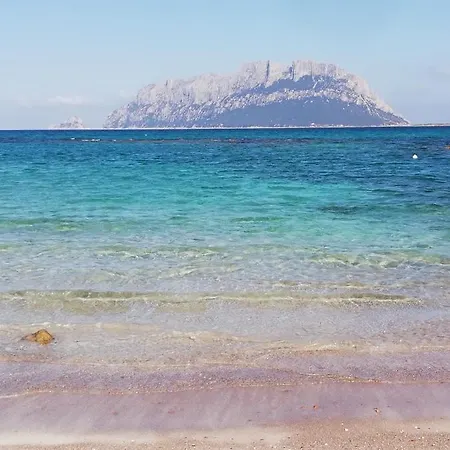 Apartment Bellavista *