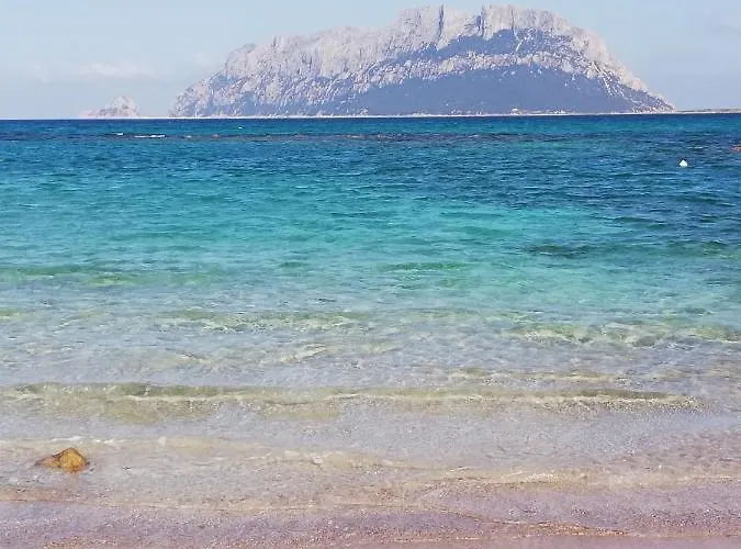 Apartment Bellavista *